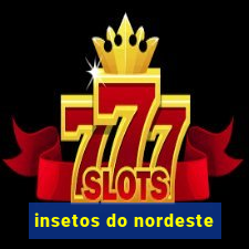 insetos do nordeste